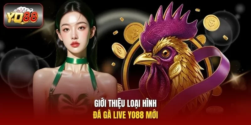 Giới thiệu loại hình đá Gà live Yo88 mới