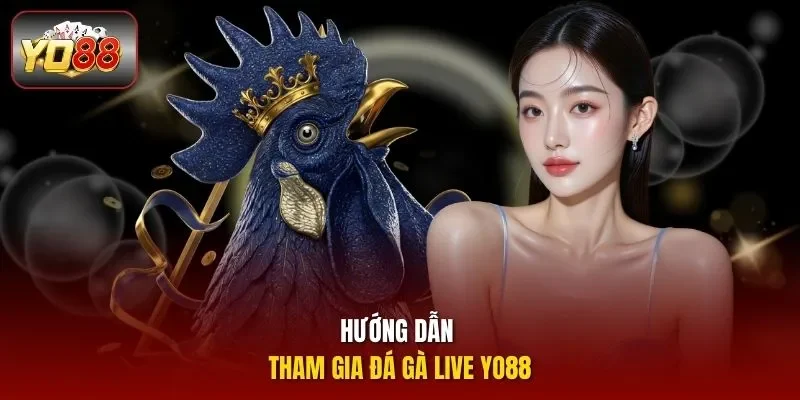 Hướng dẫn tham gia đá gà live yo88